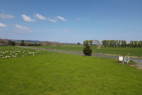 Photo of property in 117 Chamberlain Road, Te Awamutu, Cambridge, 3879