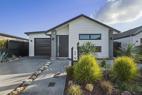 Photo of property in 21 Naismith Street, Chartwell, Hamilton, 3210