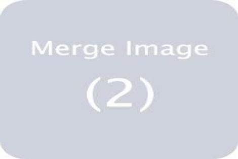 Photo of property in 13 Punga Road, Whenuapai, Auckland, 0618