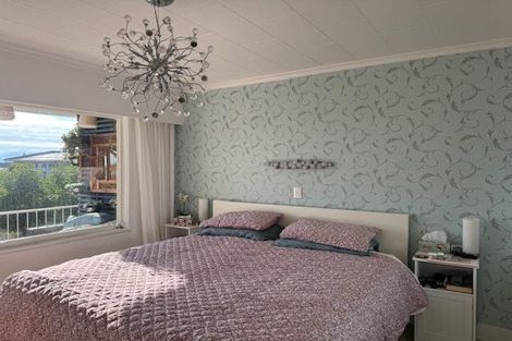 Photo of property in 43 Churchill Avenue, Richmond, 7020