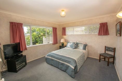 Photo of property in 18 Brookfield Terrace, Brookfield, Tauranga, 3110