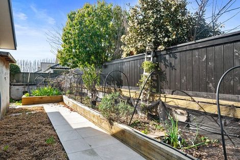 Photo of property in 75 O'neill Avenue, Northwood, Christchurch, 8051