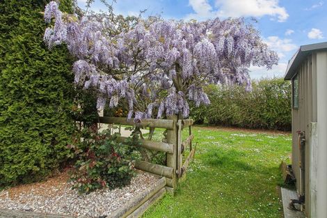 Photo of property in 137 Hart Road, Pukekohe, 2676