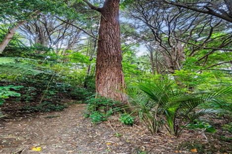 Photo of property in 34 Scott Road, Tamaterau, Whangarei, 0174