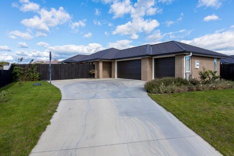 Photo of property in 6 Amber Grove, Matamata, 3400