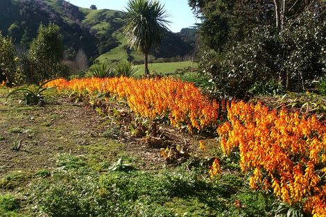 Photo of property in 162e Matokitoki Valley Road, Matokitoki, Gisborne, 4071