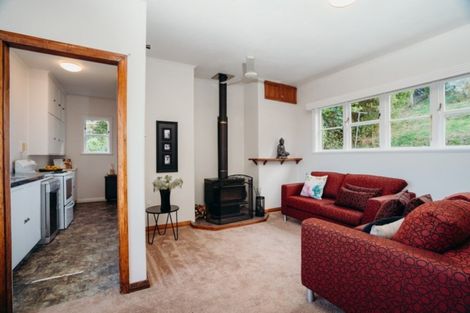Photo of property in 137 Chapman Street, Wakari, Dunedin, 9010