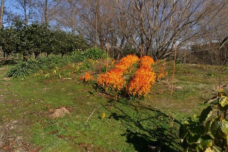 Photo of property in 162e Matokitoki Valley Road, Matokitoki, Gisborne, 4071