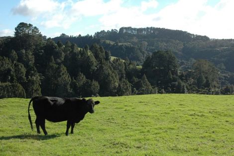 Photo of property in 540 Krippner Road, Puhoi, Warkworth, 0994