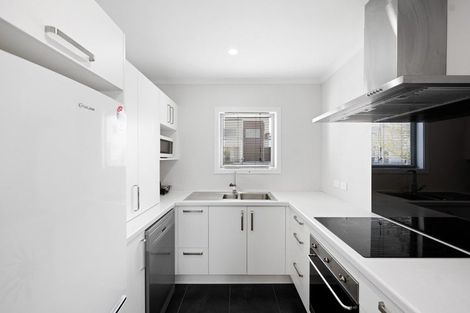 Photo of property in 66 Tennille Street, Flagstaff, Hamilton, 3210