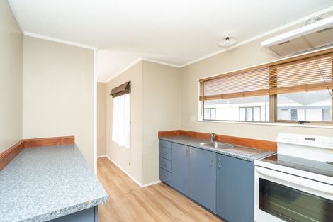 Photo of property in 13 Riley Place, Fitzroy, Hamilton, 3206