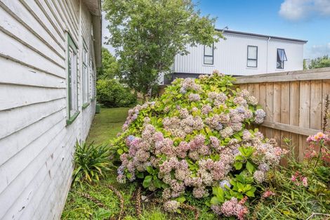 Photo of property in 131 Nixon Street, Hamilton East, Hamilton, 3216