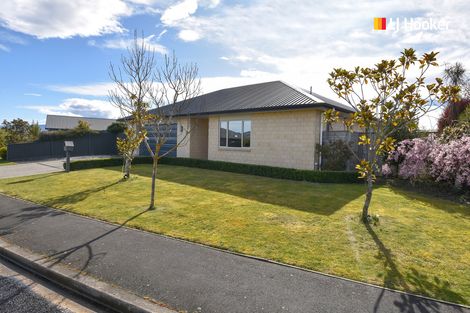 Photo of property in 16 Showgate Crescent, Mosgiel, 9024