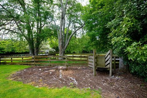 Photo of property in 3 Scotsvale Drive, Tauwhare, Morrinsville, 3371
