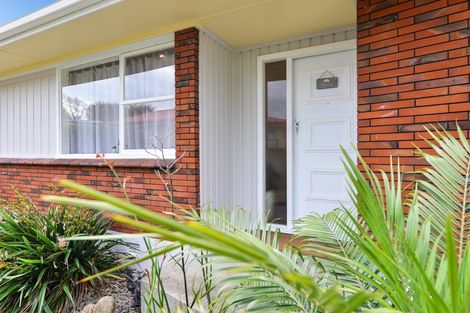 Photo of property in 69 Bruce Avenue, Glenview, Hamilton, 3206