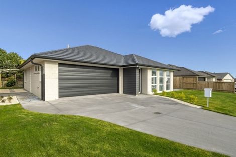 Photo of property in 77 Bert Wall Drive, Omokoroa, 3114