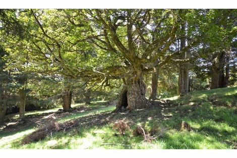 Photo of property in 195 Okokako Road, Waimate North, Kerikeri, 0293