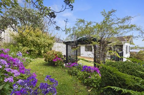 Photo of property in 30 Kotuku Street, Te Aroha, 3320