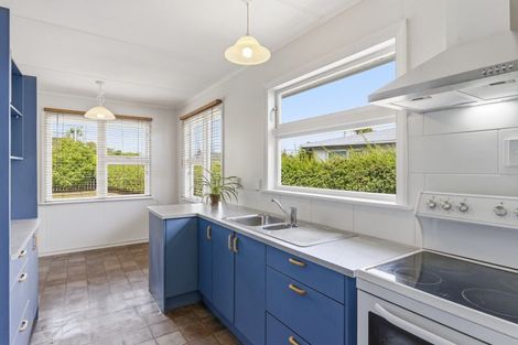 Photo of property in 21 Lemon Street, Otaki, 5512