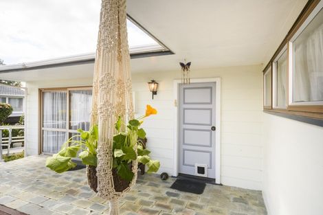 Photo of property in 135 Salisbury Street, Ashhurst, 4810