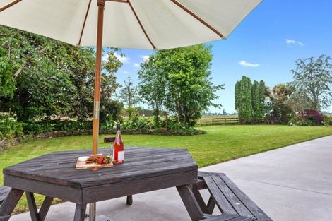 Photo of property in 28 Edgecumbe Soldiers Road, Edgecumbe, Whakatane, 3193