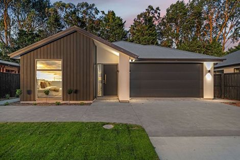 Photo of property in 69 Henshaw Street, Woodend, 7610