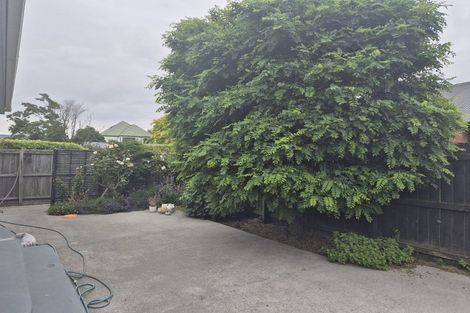 Photo of property in 229 Innes Road, St Albans, Christchurch, 8052