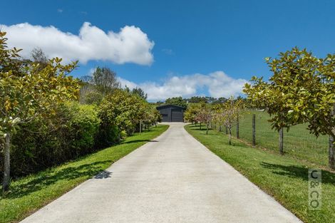 Photo of property in 25 School Road, Waimauku, 0881