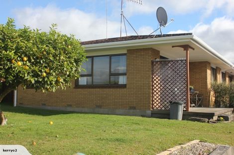 Photo of property in 209a Boucher Avenue, Te Puke, 3119