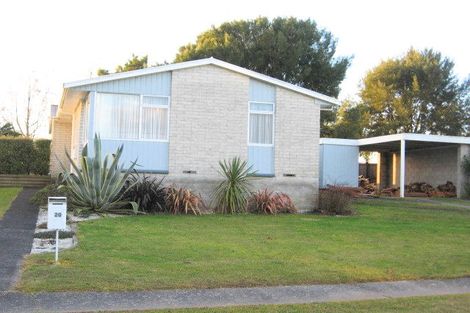 Photo of property in 20 Chamberlain Place, Chartwell, Hamilton, 3210