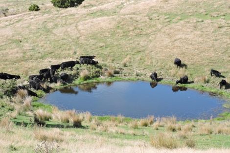 Photo of property in 1375 Wimbledon Road, Porangahau, 4292