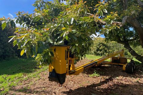 Photo of property in 313 Youngson Road, Whakamarama, Tauranga, 3179