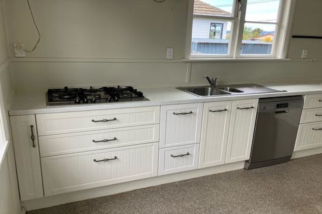 Photo of property in 24 Johnson Street, Milton, 9220