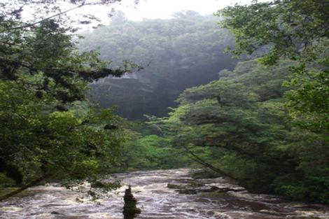 Photo of property in 61 Glasseye Drive, Little Wanganui, Karamea, 7893