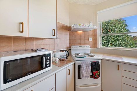 Photo of property in 19 Franklin Terrace, Havelock North, 4130