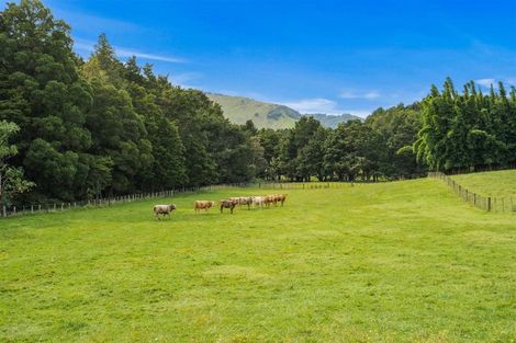 Photo of property in 710 Sommerville Road, Tangowahine, Dargaville, 0372