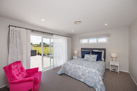 Photo of property in 455e Taonui Road, Colyton, Feilding, 4775