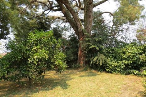 Photo of property in 16 Fry Street, Motueka, 7120