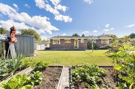 Photo of property in 6-8 East Road, Shannon, 4821