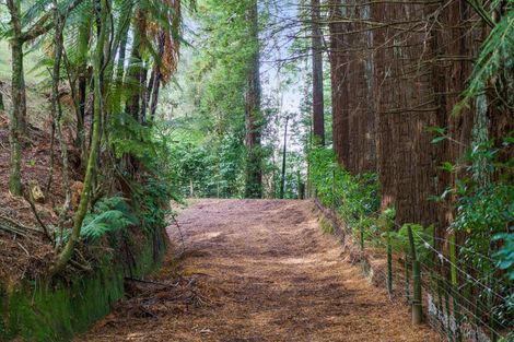 Photo of property in 288 Oropi Gorge Road, Oropi, Tauranga, 3173