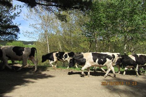 Photo of property in 608 Apley Road, Puketapu, Napier, 4184