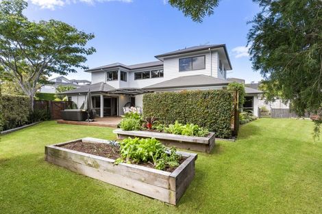 Photo of property in 43 Kenmure Avenue, Forrest Hill, Auckland, 0620