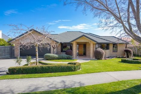 Photo of property in 14 Elmwood Avenue, Witherlea, Blenheim, 7201