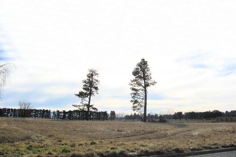 Photo of property in 13 Launceston Place, Ranfurly, 9332