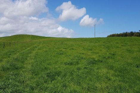 Photo of property in 110a Colville Road, Dargaville, 0310