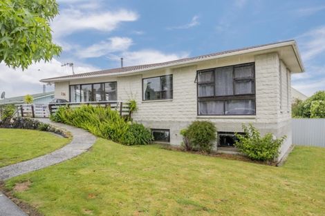 Photo of property in 136 Winchester Street, Levin, 5510