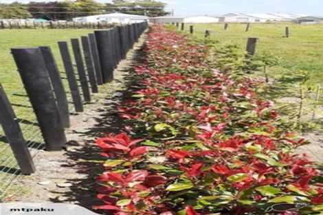 Photo of property in 9 Arthur Street, Holmes Hill, Oamaru, 9401