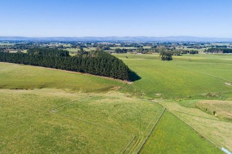 Photo of property in 172 Stewart Road, Feilding, 4479