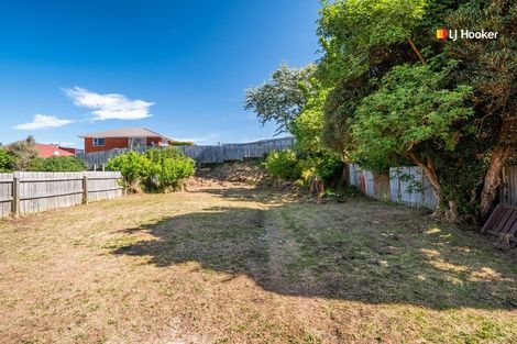 Photo of property in 69 Burns Street, South Dunedin, Dunedin, 9012