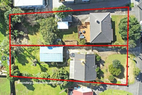 Photo of property in 17 Court Crescent, Panmure, Auckland, 1072